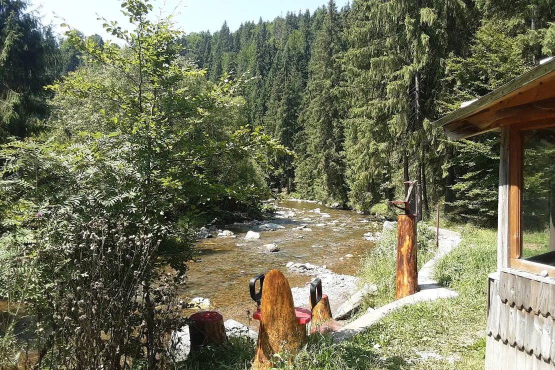 im-westkarpaten-naturpark-am-ariesch-fluss-arieseni-zentrum-0r85q