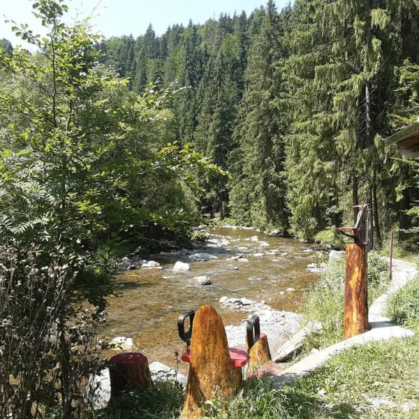 im-westkarpaten-naturpark-am-ariesch-fluss-arieseni-zentrum-0r85q