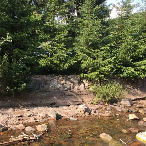 im-westkarpaten-naturpark-am-ariesch-fluss-arieseni-zentrum-6w58r