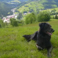 im-westkarpaten-naturpark-am-ariesch-fluss-arieseni-zentrum-e612j
