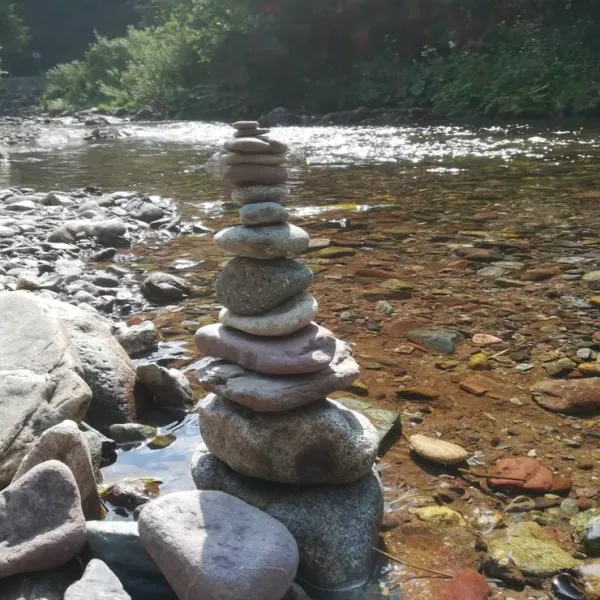 im-westkarpaten-naturpark-am-ariesch-fluss-arieseni-zentrum-fmftc