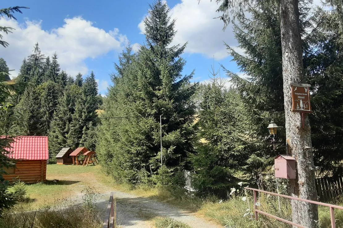 im-westkarpaten-naturpark-am-ariesch-fluss-arieseni-zentrum-g1w88