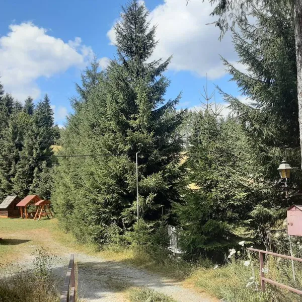 Im Westkarpaten-Naturpark, am Ariesch-Fluß.