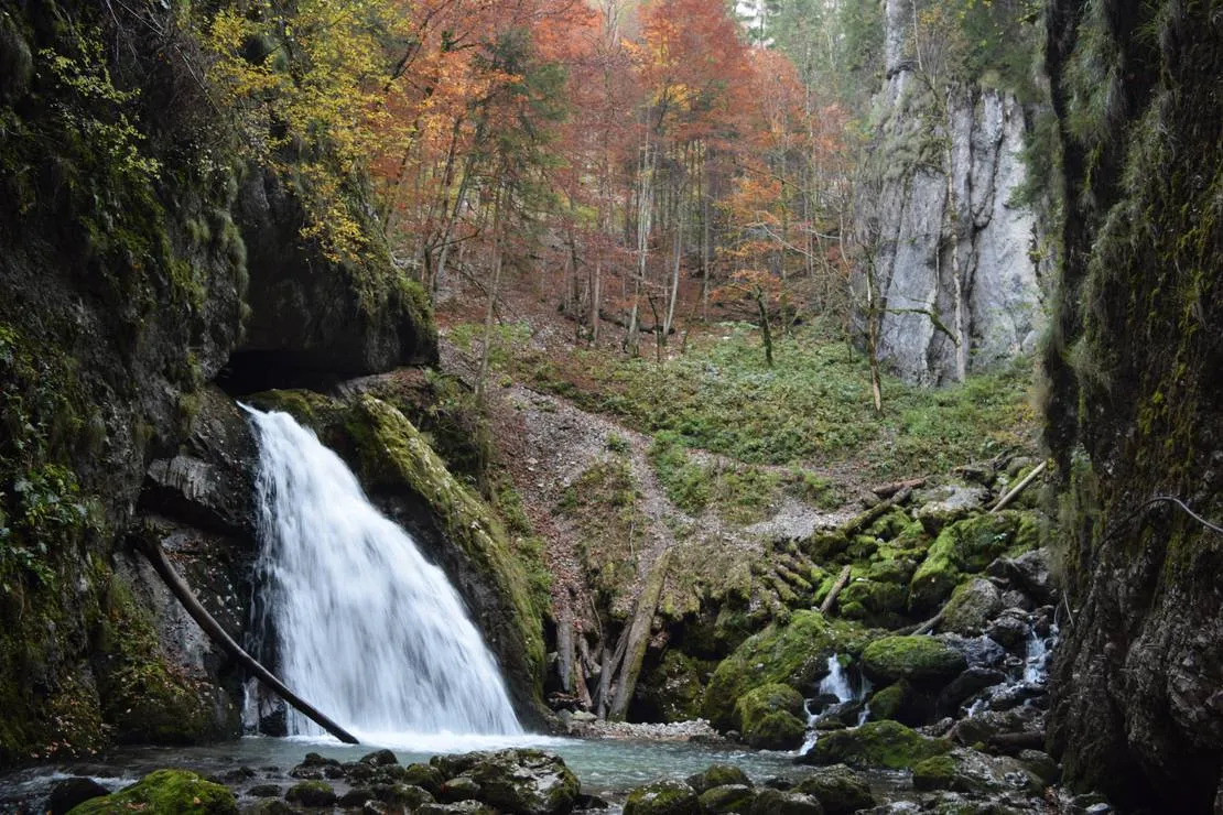 im-westkarpaten-naturpark-am-ariesch-fluss-arieseni-zentrum-mk5op