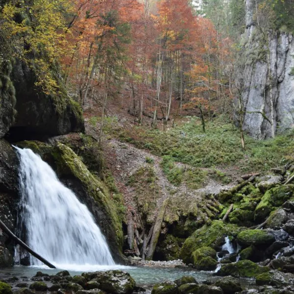 im-westkarpaten-naturpark-am-ariesch-fluss-arieseni-zentrum-mk5op