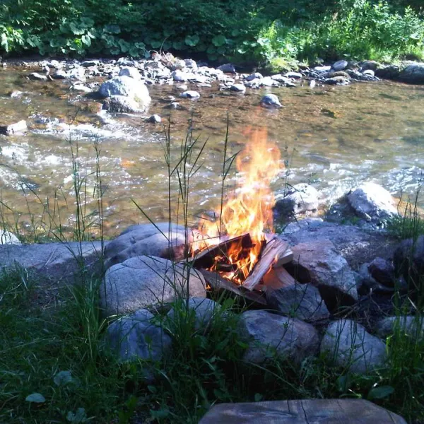 im-westkarpaten-naturpark-am-ariesch-fluss-arieseni-zentrum-owfwa