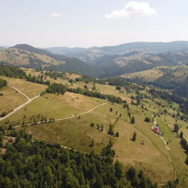 im-westkarpaten-naturpark-am-ariesch-fluss-arieseni-zentrum-svguw
