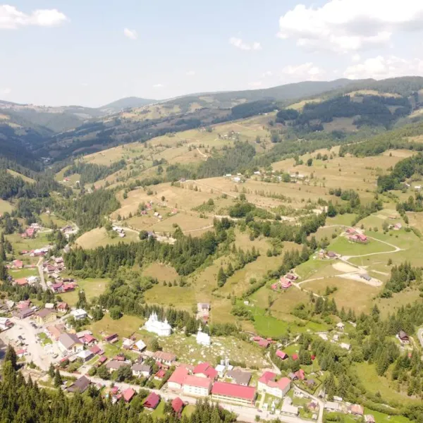im-westkarpaten-naturpark-am-ariesch-fluss-arieseni-zentrum-v65nw