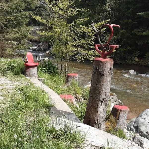 im-westkarpaten-naturpark-am-ariesch-fluss-arieseni-zentrum-xtrhe