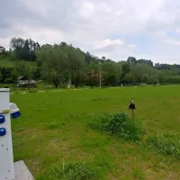 nasza-dolinapl-camping-kamping-pole-namiotowe-suloszowa-86dyw