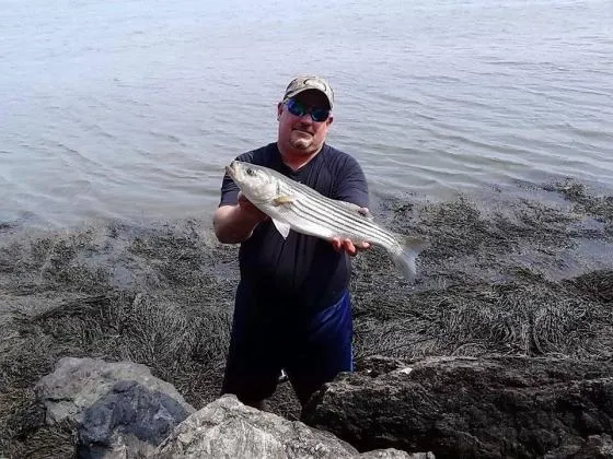 sagadahoc-bay-campground-georgetown-island-ocxif