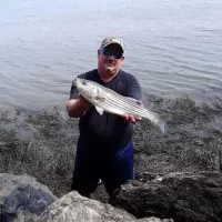 sagadahoc-bay-campground-georgetown-island-ocxif