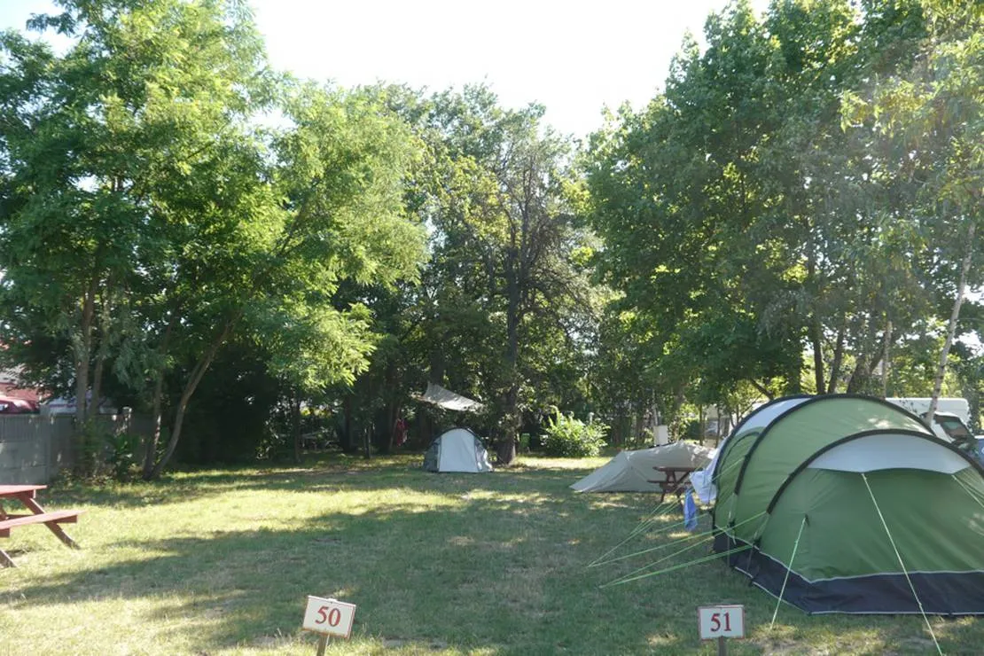 camp-wroc-wroclaw-cat8h