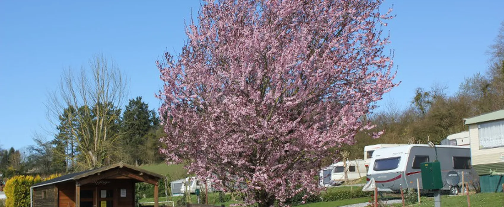 Le Pommier Rustique