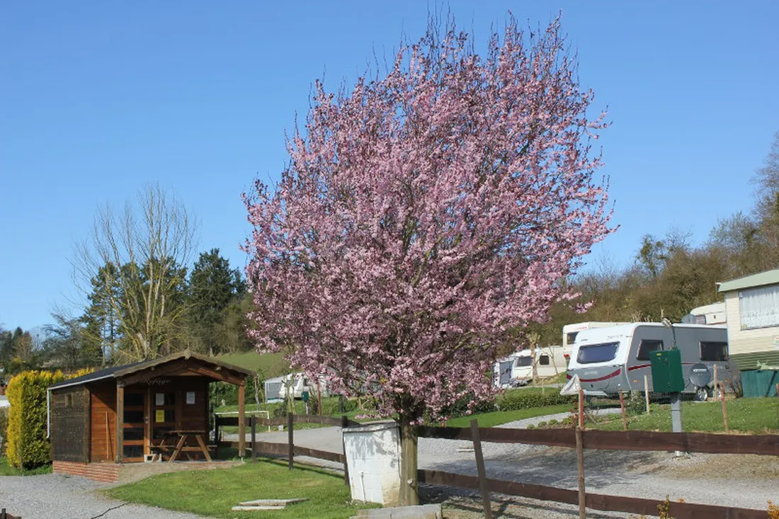 le-pommier-rustique-durnal-68s8e