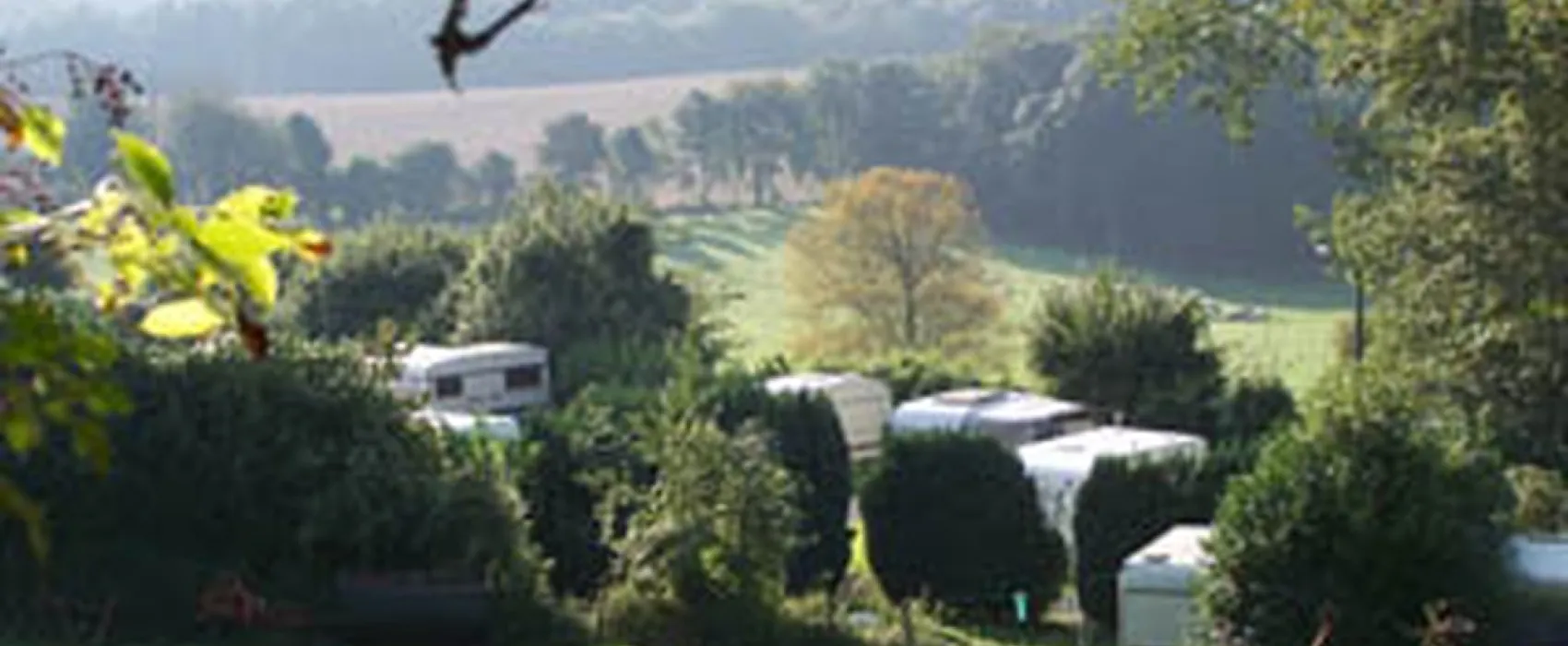 Le Pommier Rustique