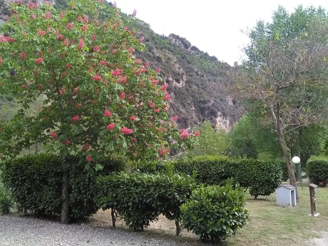 azur-et-merveilles-breil-sur-roya-hx6vd