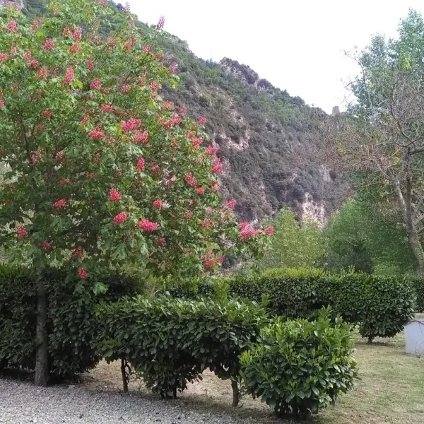 azur-et-merveilles-breil-sur-roya-hx6vd