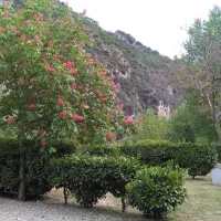 azur-et-merveilles-breil-sur-roya-hx6vd