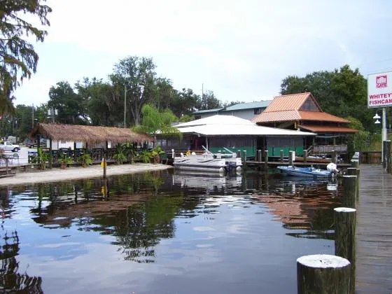 whiteys-fish-camp-orange-park-fleming-island-imgxw