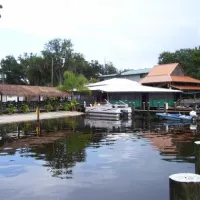 whiteys-fish-camp-orange-park-fleming-island-imgxw