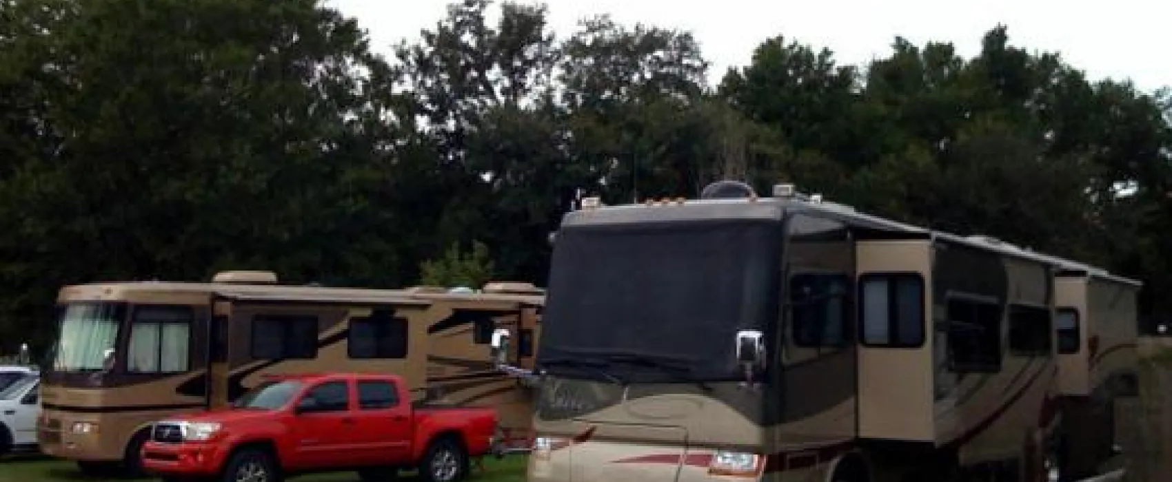 Whitey's Fish Camp