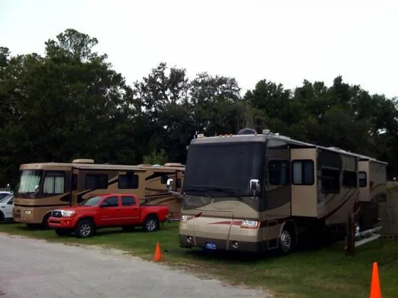 whiteys-fish-camp-orange-park-fleming-island-wzi16