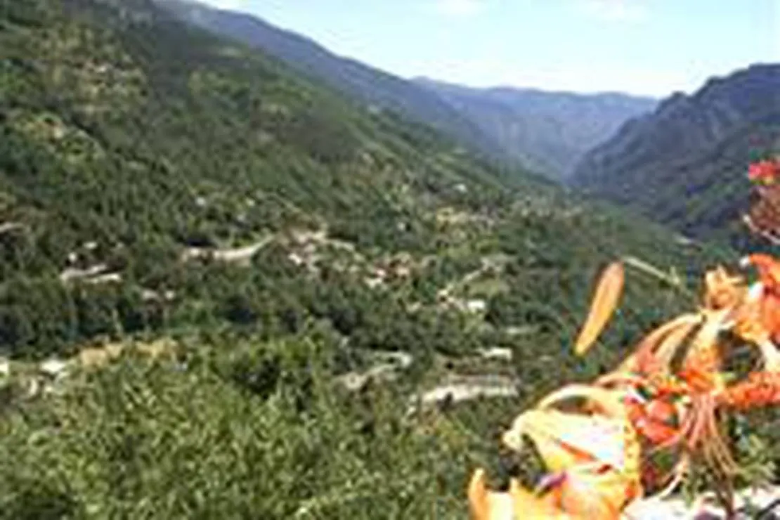 camping-des-champouns-saint-martin-vesubie-3gfxj