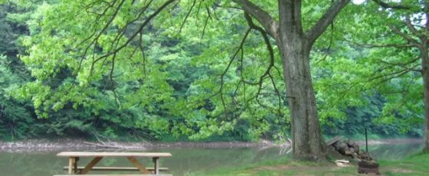 Riverhurst Park