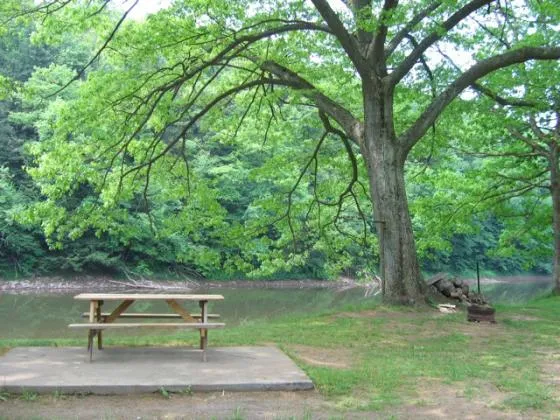 riverhurst-park-olean-vvzqm