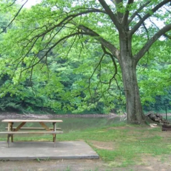 riverhurst-park-olean-vvzqm