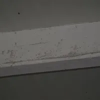 roompot-de-zandput-vrouwenpolder-gtpqz