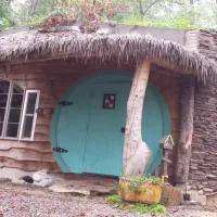 Maple Tree Camp