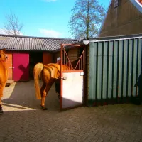 heldersbroek-haarle-sztbe