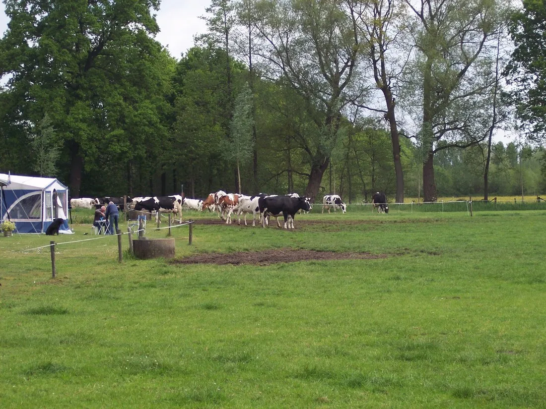 minicamping-de-wolboom-aalten-z1tbv