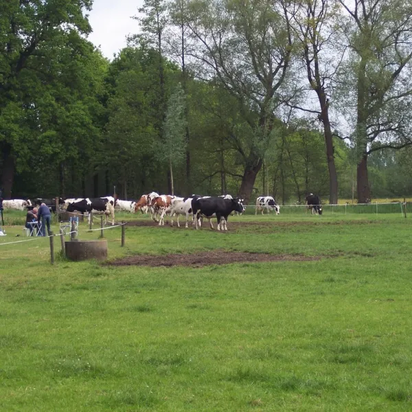 minicamping-de-wolboom-aalten-z1tbv