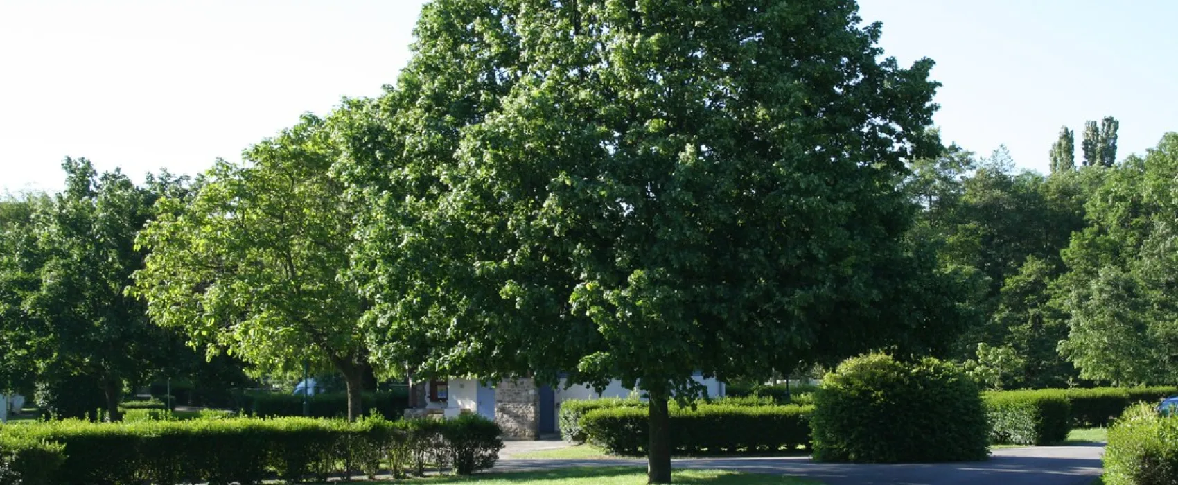 La Trillonnière