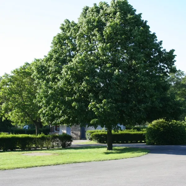 La Trillonnière