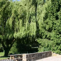 la-trillonniere-mornant-rhone-u0umf