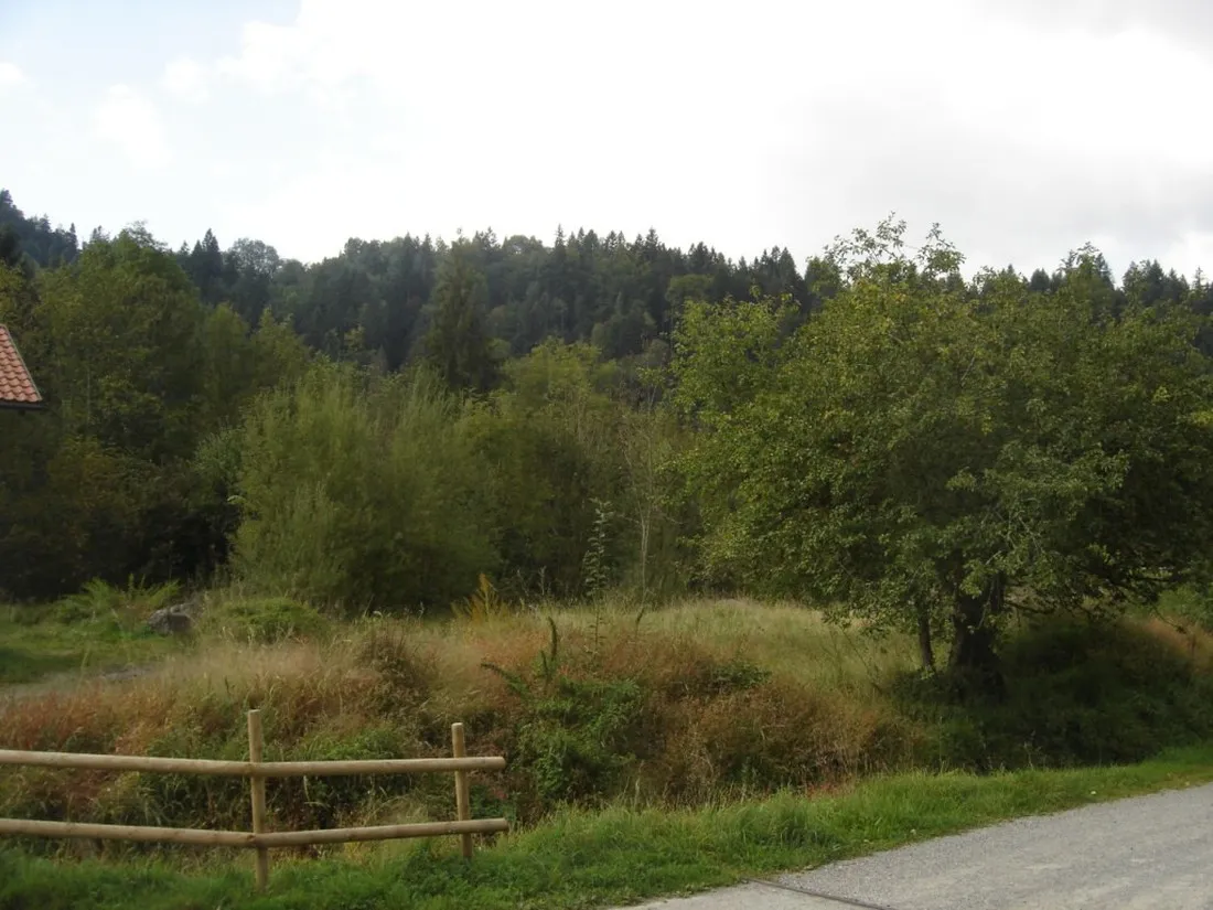 bregrenzer-ach-doren-enbm8