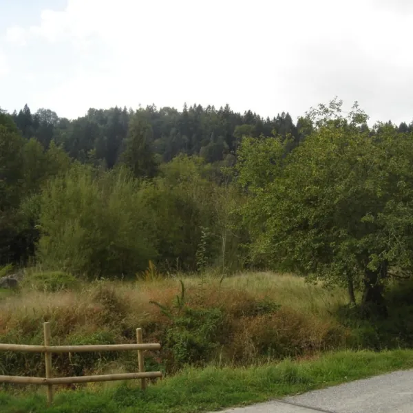 bregrenzer-ach-doren-enbm8