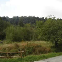 bregrenzer-ach-doren-enbm8