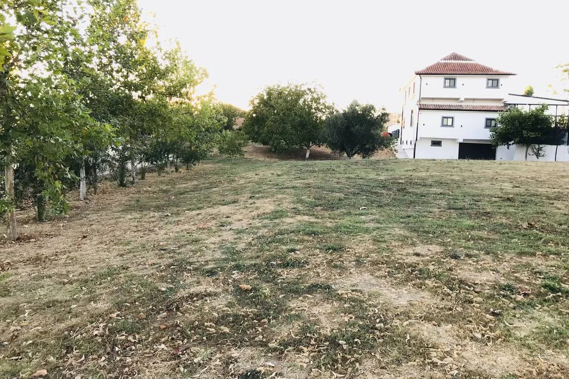 camping-maci-peqin-nmmhm