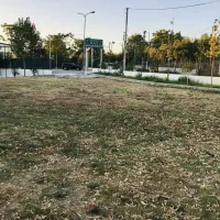 camping-maci-peqin-vaq4l