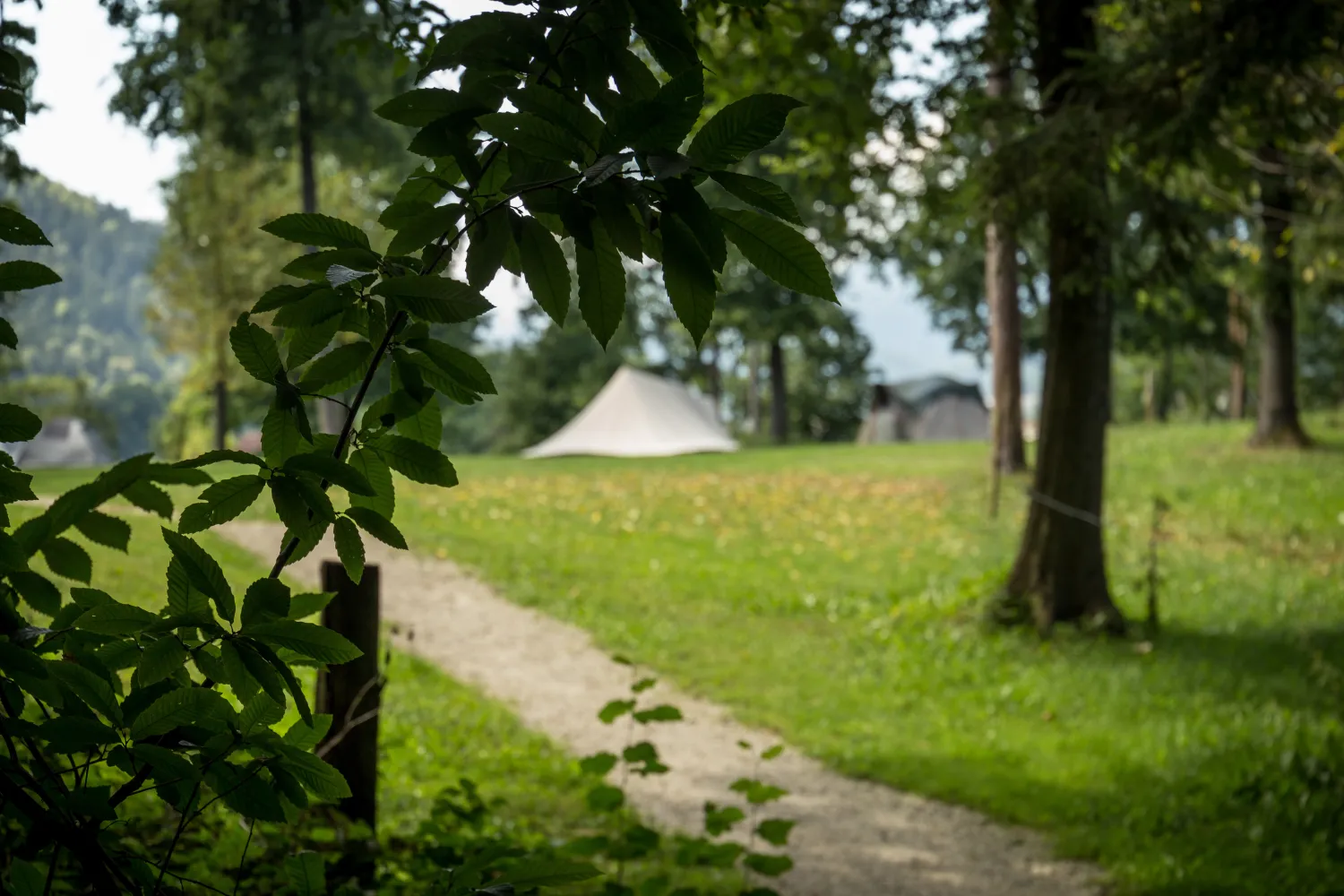 forest-camping-mozirje-mozirje-0jw2i