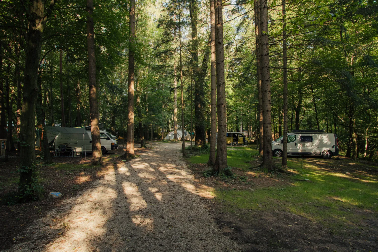 forest-camping-mozirje-mozirje-10pfh