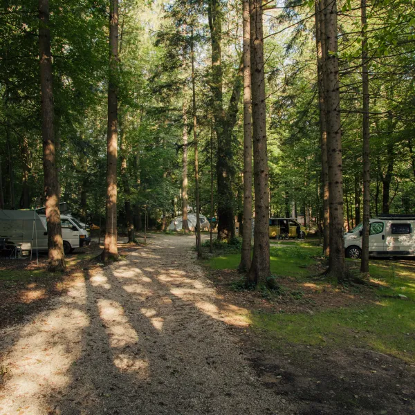 forest-camping-mozirje-mozirje-10pfh