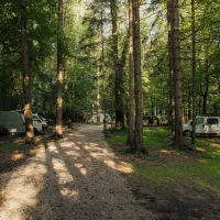 forest-camping-mozirje-mozirje-10pfh