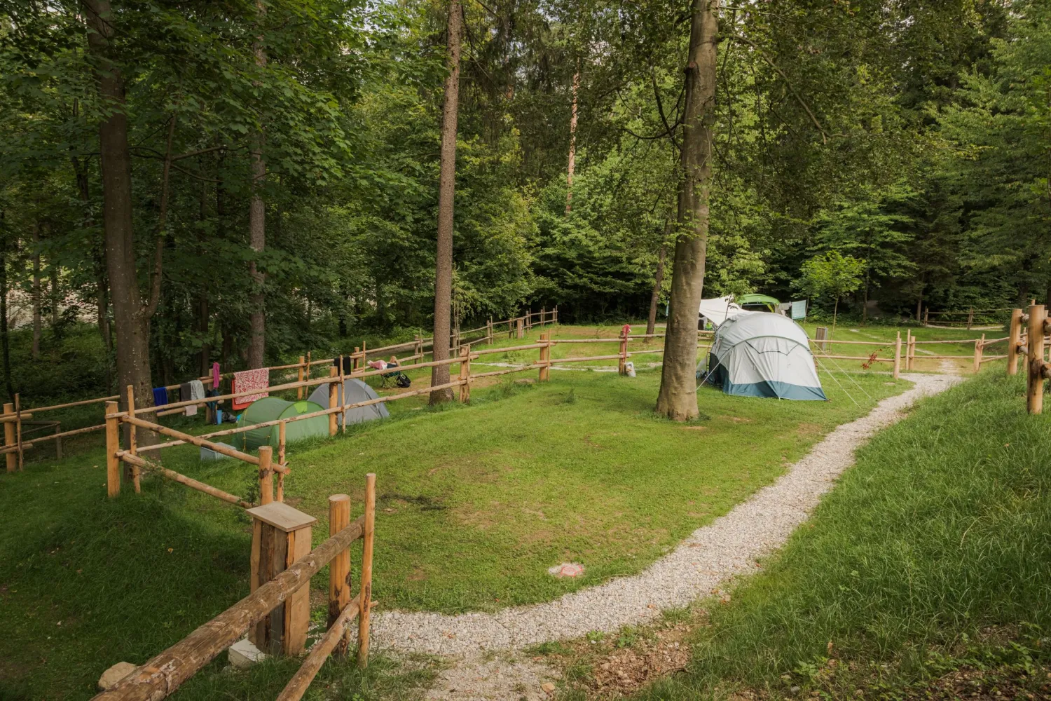 03_Forest-Camping-Mozirje_2025_foto-andrejlamut_WEB-112