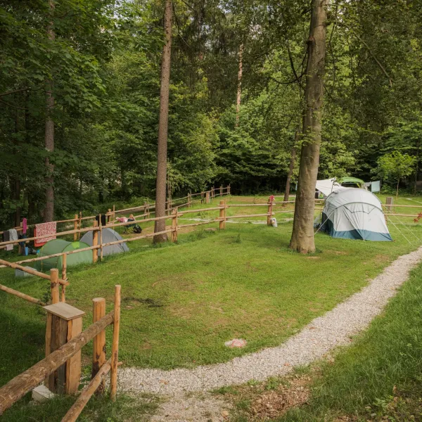 03_Forest-Camping-Mozirje_2025_foto-andrejlamut_WEB-112